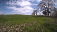 The field cam, May 6, 2024 at 12:55pm