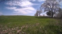 The field cam, May 6, 2024 at 12:56pm
