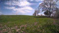 The field cam, May 6, 2024 at 12:56pm