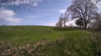 The field cam, May 6, 2024 at 1:24pm
