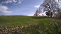 The field cam, May 6, 2024 at 1:25pm