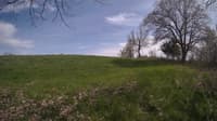 The field cam, May 6, 2024 at 1:29pm