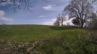 The field cam, May 6, 2024 at 1:31pm