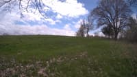 The field cam, May 7, 2024 at 11:00am