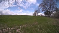 The field cam, May 7, 2024 at 11:06am