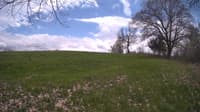 The field cam, May 7, 2024 at 11:10am