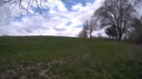 The field cam, May 7, 2024 at 11:16am