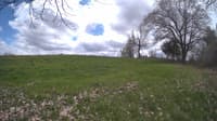 The field cam, May 7, 2024 at 11:33am
