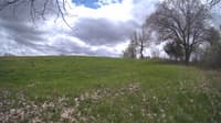 The field cam, May 7, 2024 at 11:37am