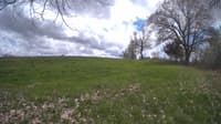 The field cam, May 7, 2024 at 11:42am