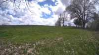 The field cam, May 7, 2024 at 11:49am