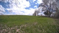 The field cam, May 7, 2024 at 11:51am