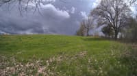 The field cam, May 7, 2024 at 12:31pm