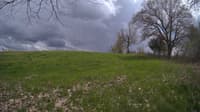 The field cam, May 7, 2024 at 12:33pm