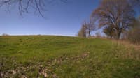 The field cam, May 8, 2024 at 7:20am