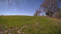 The field cam, May 8, 2024 at 8:07am