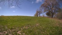 The field cam, May 8, 2024 at 8:15am