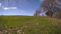The field cam, May 8, 2024 at 8:20am