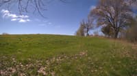 The field cam, May 8, 2024 at 8:22am