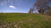 The field cam, May 8, 2024 at 8:37am