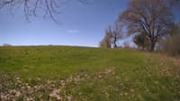 The field cam, May 8, 2024 at 8:43am