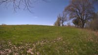 The field cam, May 8, 2024 at 8:44am