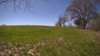 The field cam, May 8, 2024 at 9:12am