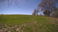The field cam, May 8, 2024 at 9:19am