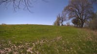 The field cam, May 8, 2024 at 9:22am