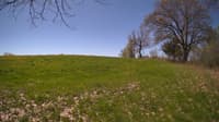 The field cam, May 8, 2024 at 9:24am