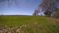 The field cam, May 8, 2024 at 9:25am