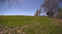 The field cam, May 8, 2024 at 9:46am
