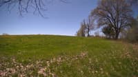 The field cam, May 8, 2024 at 9:58am
