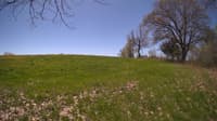 The field cam, May 8, 2024 at 10:01am