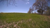 The field cam, May 8, 2024 at 10:20am