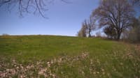 The field cam, May 8, 2024 at 10:25am