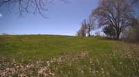 The field cam, May 8, 2024 at 10:46am