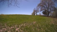 The field cam, May 8, 2024 at 10:50am