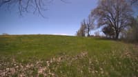 The field cam, May 8, 2024 at 11:15am