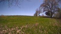 The field cam, May 8, 2024 at 11:44am