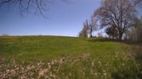 The field cam, May 8, 2024 at 12:15pm