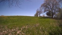The field cam, May 8, 2024 at 12:15pm