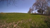 The field cam, May 8, 2024 at 12:30pm