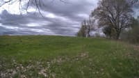 The field cam, May 9, 2024 at 8:30am