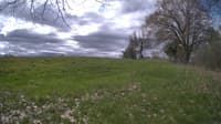 The field cam, May 9, 2024 at 8:45am