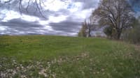 The field cam, May 9, 2024 at 8:46am