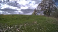 The field cam, May 9, 2024 at 8:47am