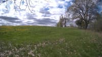 The field cam, May 9, 2024 at 9:02am