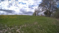 The field cam, May 9, 2024 at 9:06am