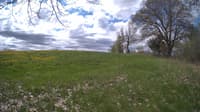 The field cam, May 9, 2024 at 9:07am